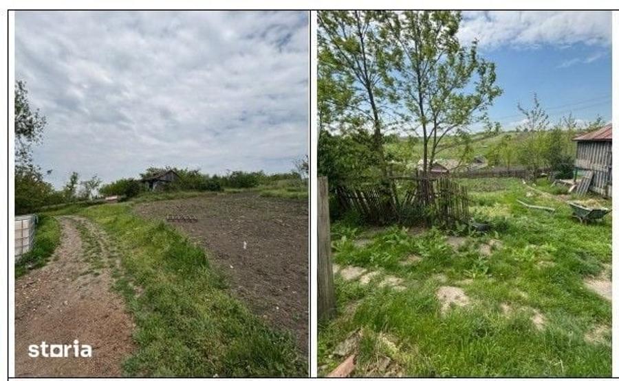 Casă cu 3 camere cu Teren 1800 Mp în Curtești