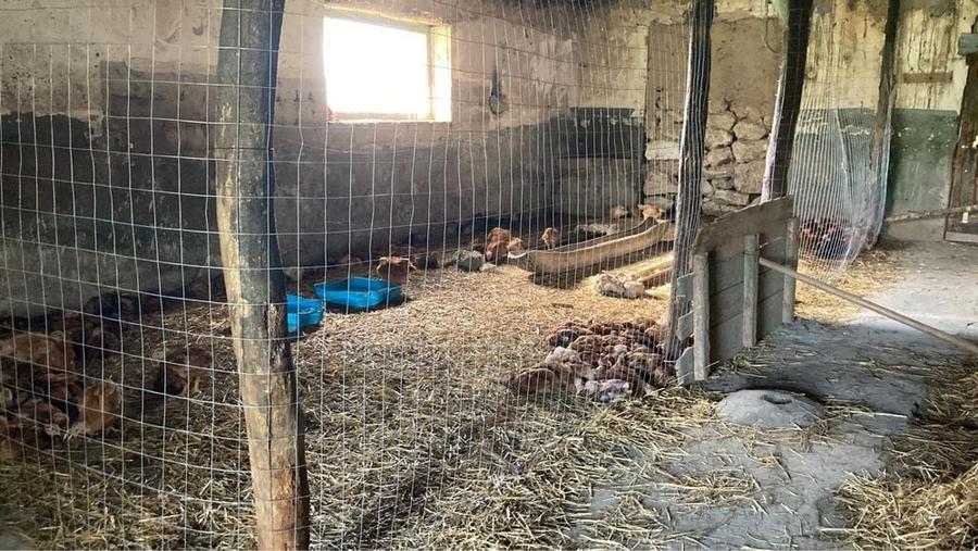 Casă cu 3 camere în Petroșani