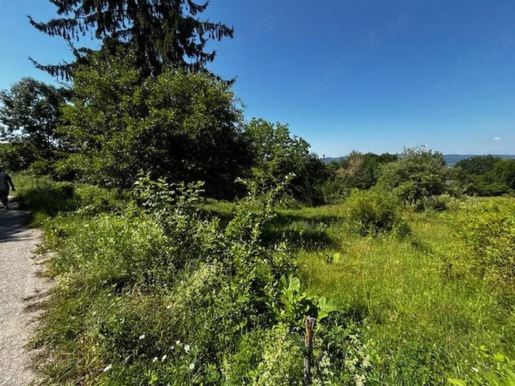 Teren de 3100 mp, în Dăești