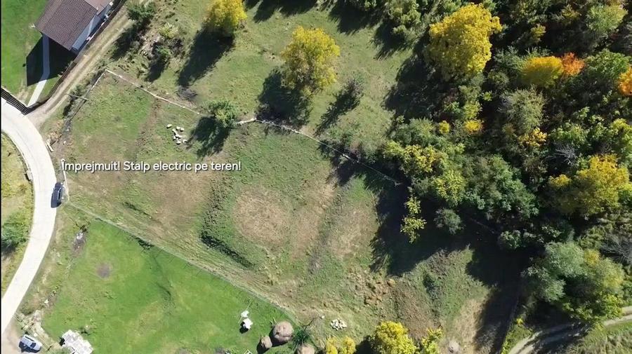 Teren Construcții intravilan de 3500 mp, în Cacica