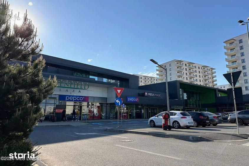 Apartament cu 2 camere, mobilat în Băneasa
