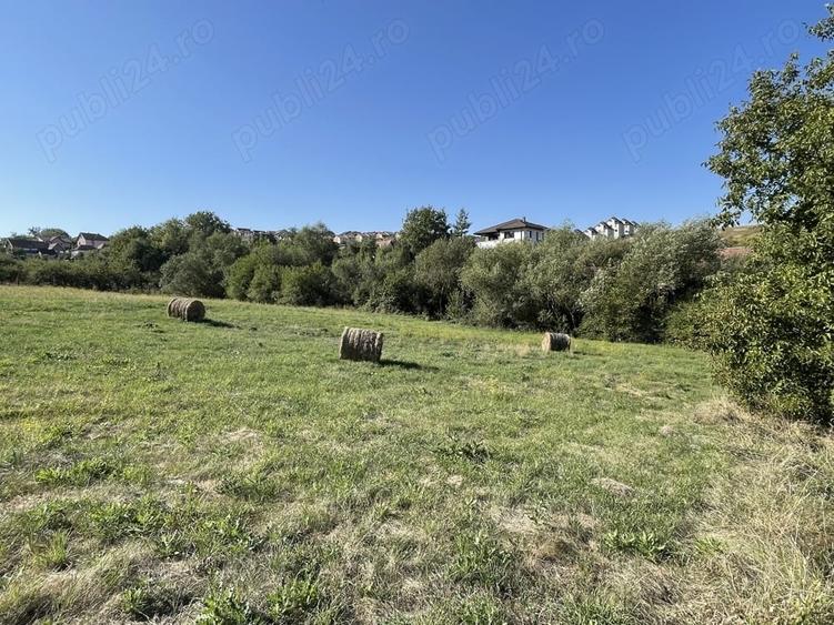 Teren în Dezmir