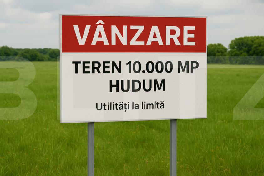Teren de 10000 mp, în Curtești