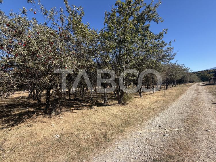 Teren Construcții intravilan de 750 mp, în Stațiunea Climaterică Sâmbăta