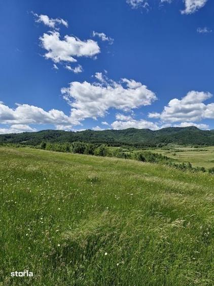 Teren de 14900 mp, în Crizbav