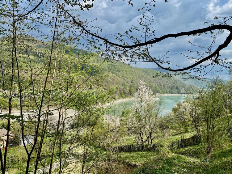 Teren Construcții de 4360 mp, în Teșila