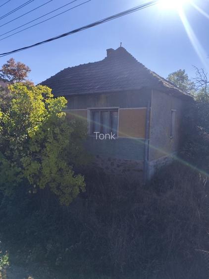 Casa de vanzare Vanatori