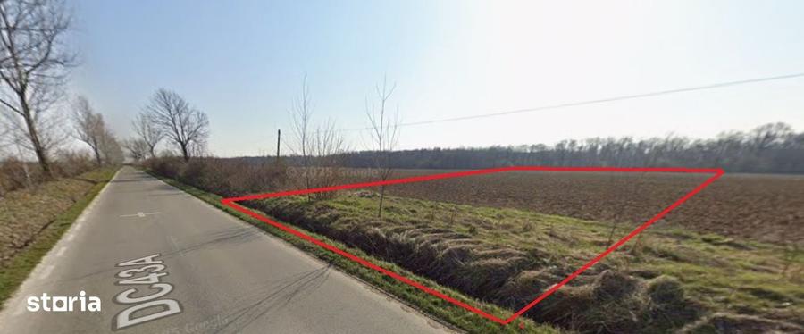 Teren de 9600 mp, în Niculești