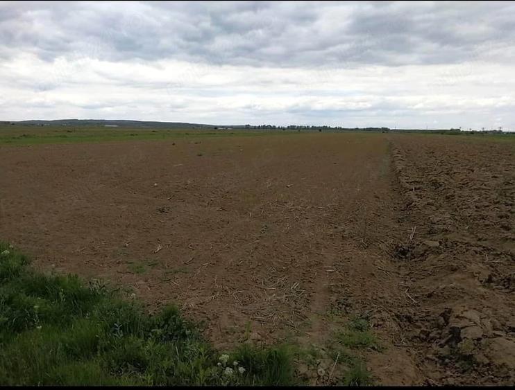Teren de 5186 mp, în Strejești