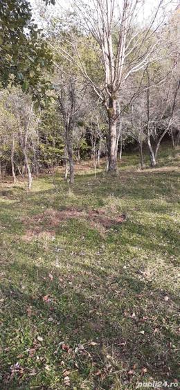 Teren de 5900 mp, în Vălișoara