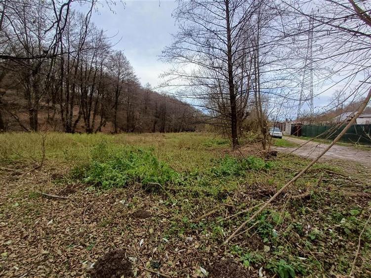 Teren Construcții intravilan de 1308 mp, în Govândari