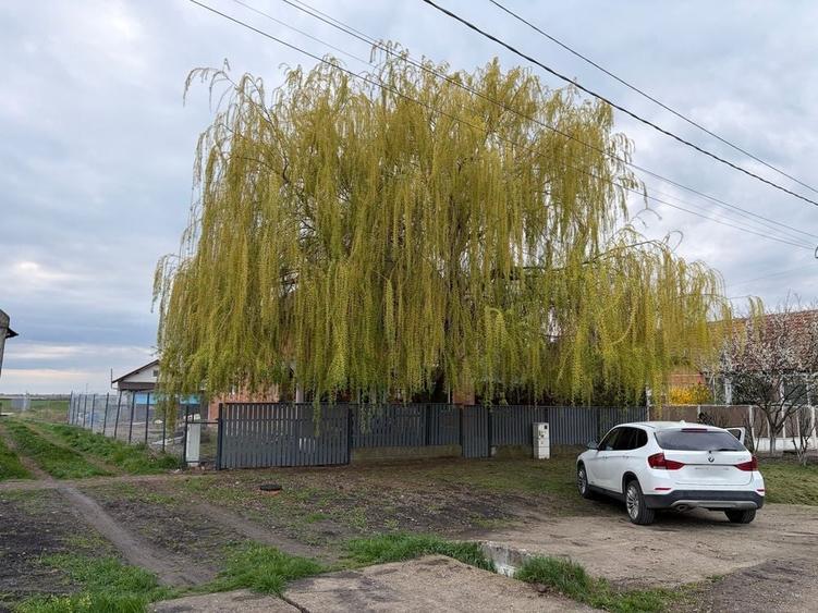 Casă cu 4 camere cu Teren 550 Mp în Dudeștii Noi