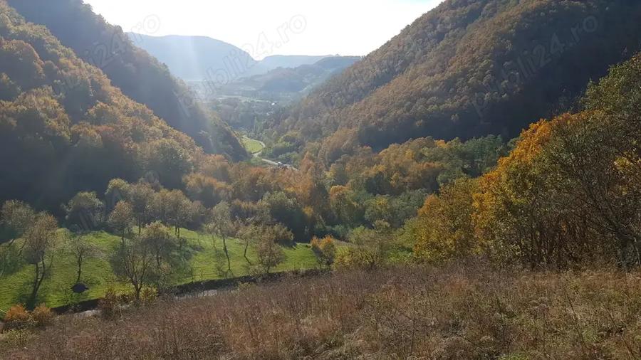 Teren de 8500 mp, în Hărțăgani