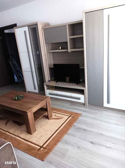Apartament cu 2 camere decomandat în Turnișor
