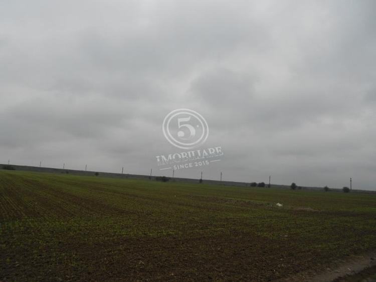 Teren agricol intravilan de 4472 mp, în Cornetu