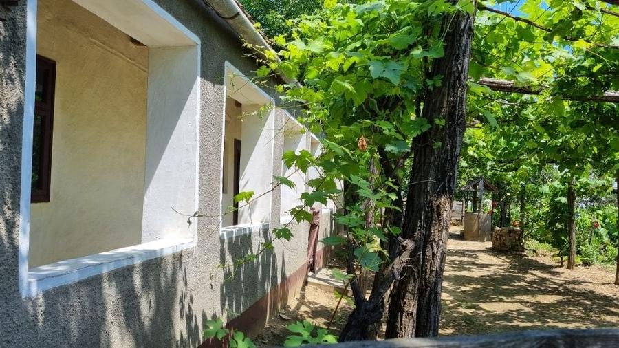Casă cu 2 camere în Șimian