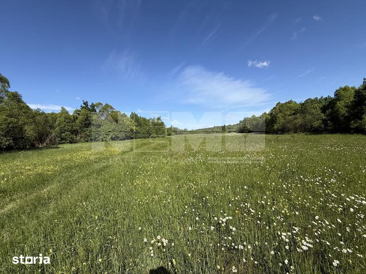 Teren de 2300 mp, în Horodnic