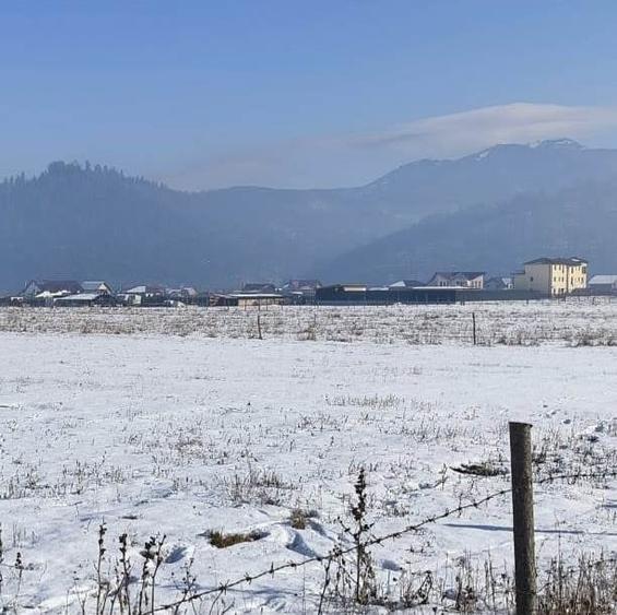 Teren Construcții intravilan de 1049 mp, în Pănicel