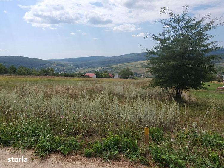Teren Chicirea (Tomesti) 1.219 mp, 20 euro/mp ( 25.000 ) - 6