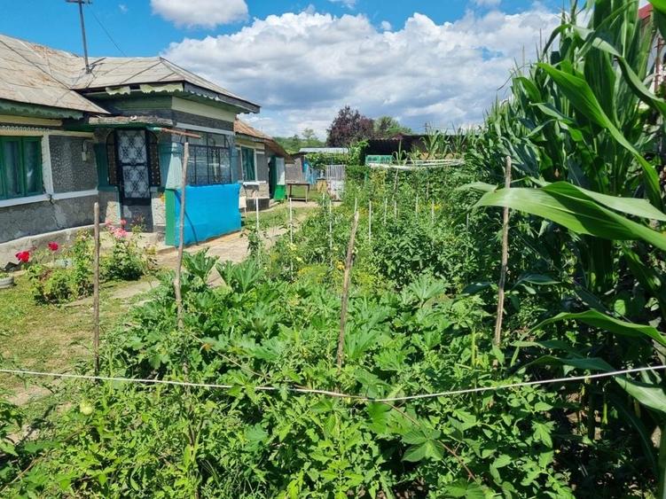 Casă cu 3 camere în Bătești