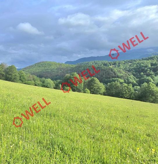 Teren agricol extravilan de 9289 mp, în Vama Buzăului