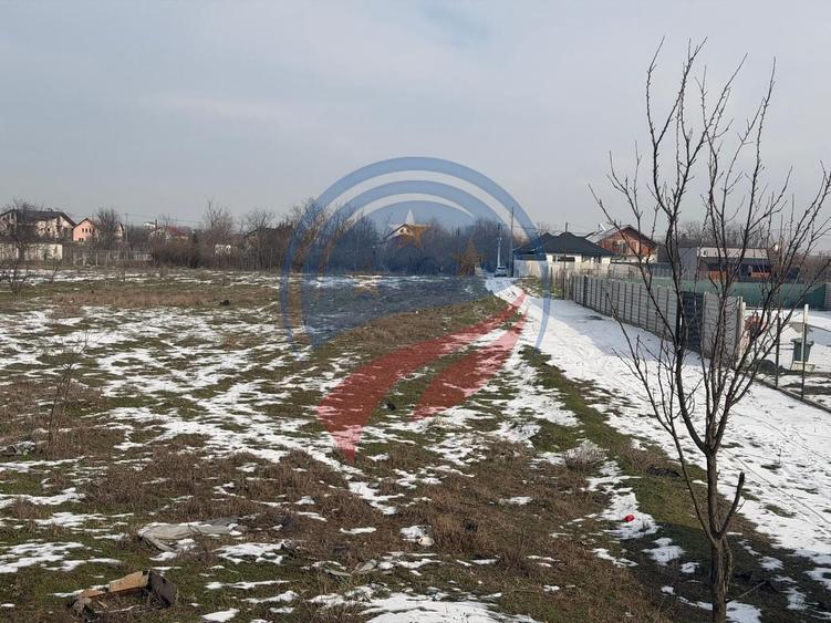 Teren Construcții intravilan de 2500 mp, în Malu Mare