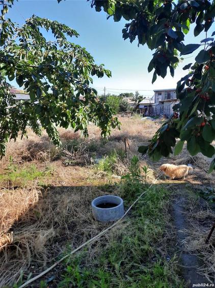 Teren în Central