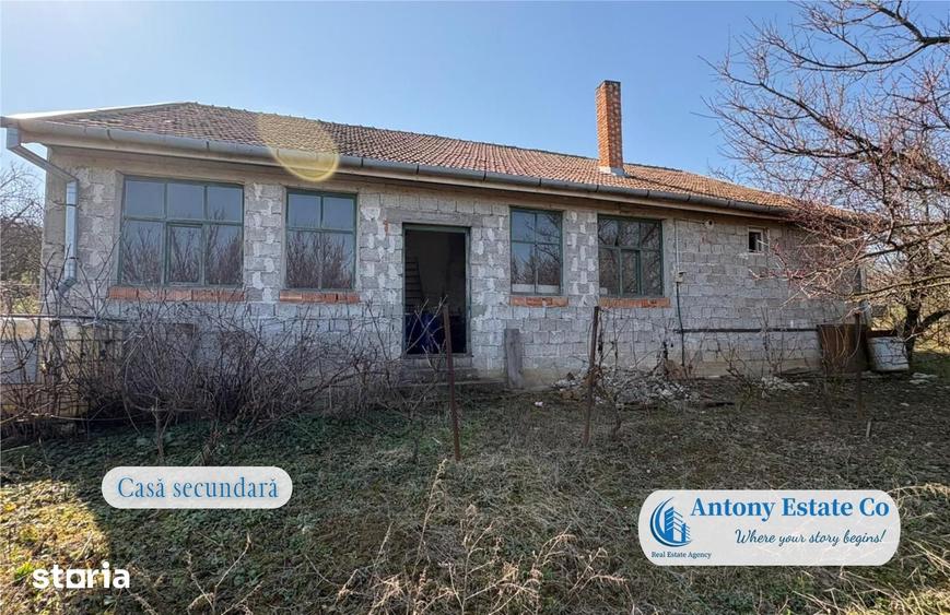 Antony Estate | Casa cu Livada proprietate deosebita, 300 pomi fruct - 6