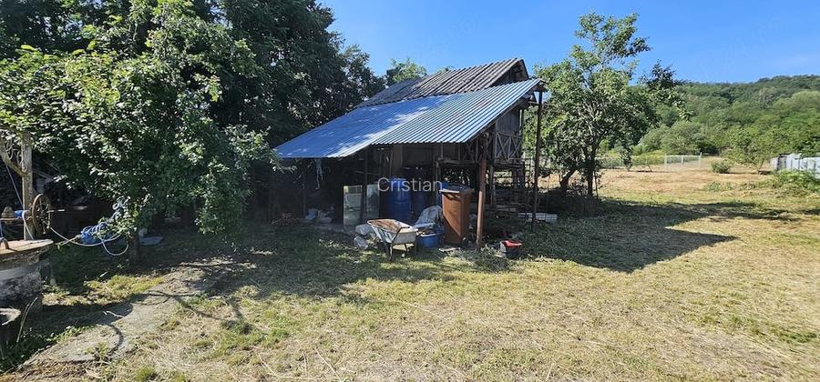 VANZARE MOSIE Sat Mitrofani, Comuna Mitrofani, jud. Valcea