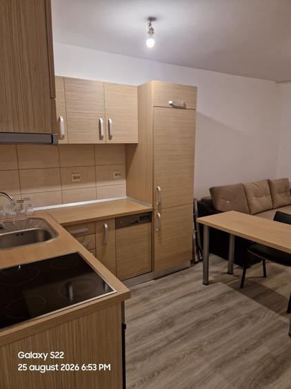 Apartament cu 2 camere în Nufărul
