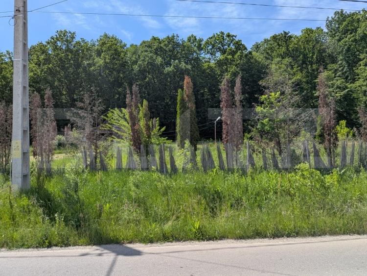 Teren Construcții intravilan de 957 mp, în Valea Mare