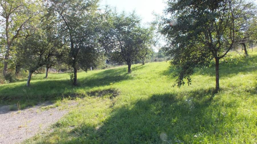Teren de 1364 mp, în Bran
