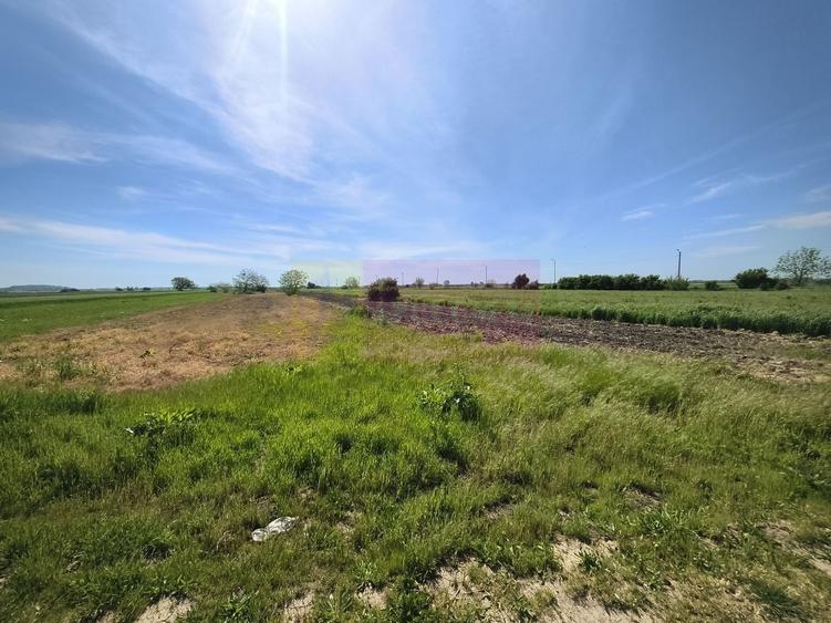 Teren Construcții intravilan de 4770 mp, în Dărăști-Ilfov