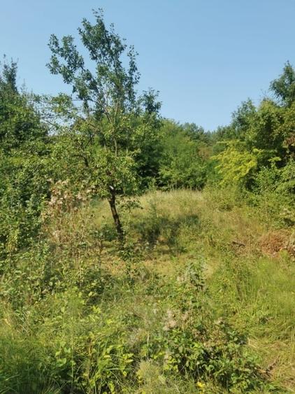 Teren intravilan de 1475 mp, în Central