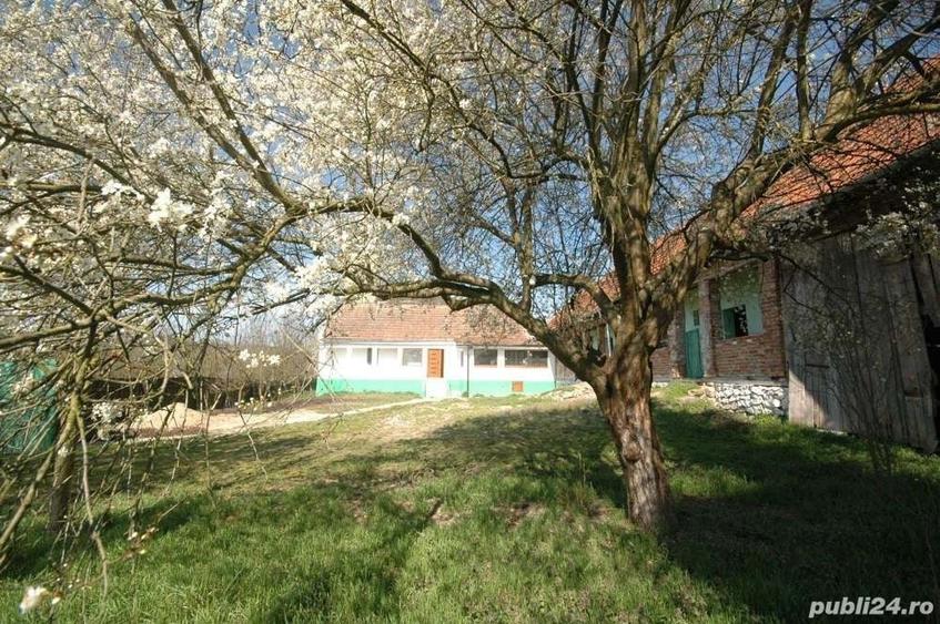 Casă în Lipovei