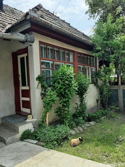Casă cu Teren 2500 Mp în Văleni