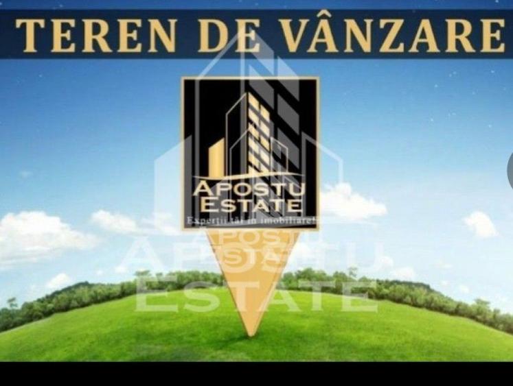 Teren intravilan,Puz Aprobat in Ghiroda 3300 mp. - 1
