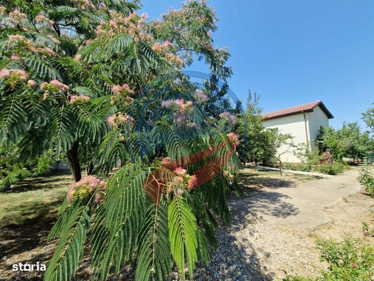 Casă cu 4 camere în Coșoveni
