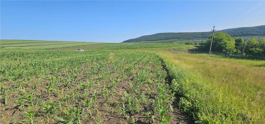 Teren intravilan de 5800 mp, în Suceagu