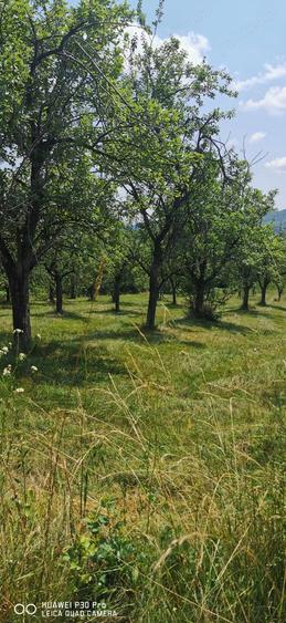 Casă cu 4 camere în Coasta Cerbului