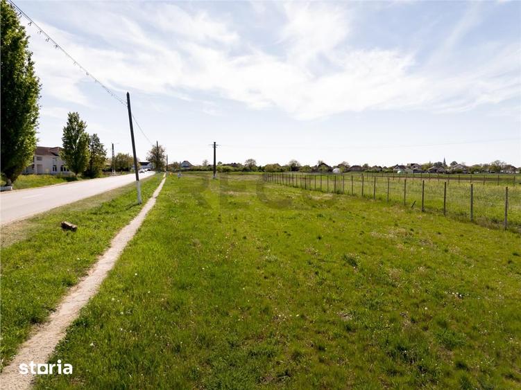 RECO Teren intravilan in Girisu de Cris - 8