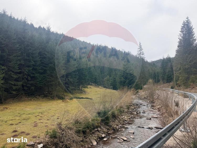 Teren de 4331 mp, în Arieșeni