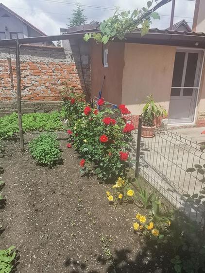 Casă cu 4 camere în Drumul Carului