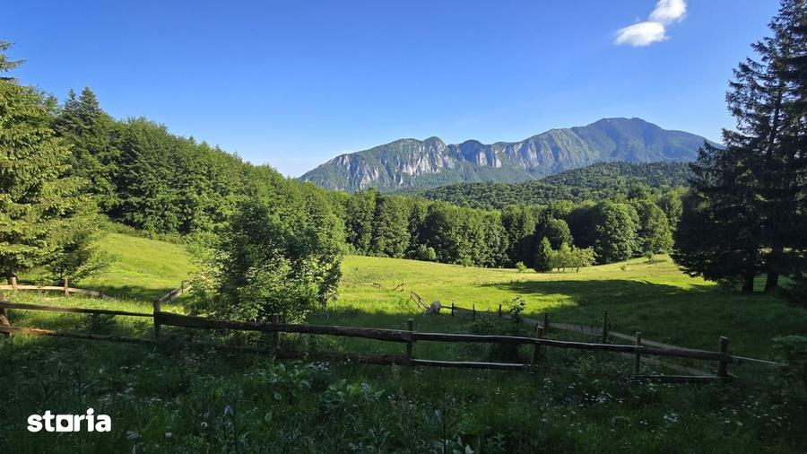 Teren de 2650 mp, în Central