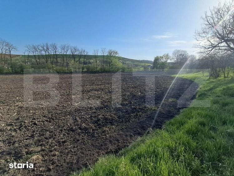 Casă cu 4 camere cu Teren 15000 Mp în Bichiș