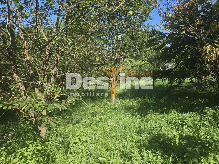 Casă individuală cu 3 camere cu Canalizare în Trăisteni
