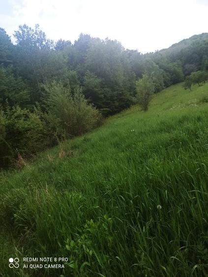 PERSOANA FIZICA VAND Teren 3000 mp Babana Arges 8 euro mp langa Primarie - 1