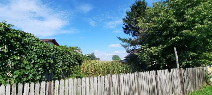 Teren de 5000 mp, în Măgureni