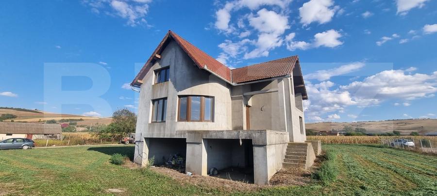 Casă individuală cu 5 camere cu Teren 3000 Mp în Bolduț