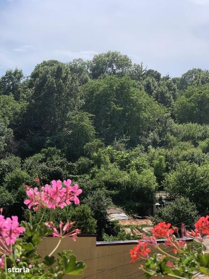 Apartament cu 3 camere decomandat în Gruia